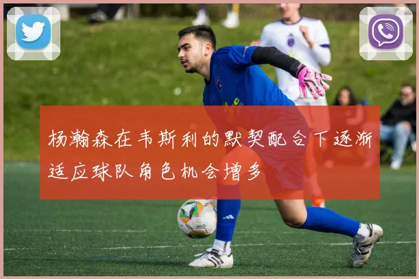 杨瀚森在韦斯利的默契配合下逐渐适应球队角色机会增多